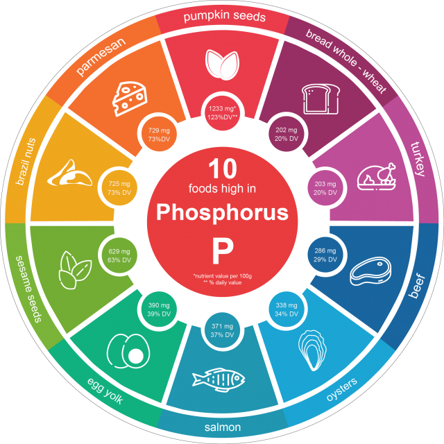 https://mybuahpinggang.com/wp-content/uploads/2020/09/foods-high-phosphorus-nutrition-infographics-healthy-lifestyle-diet-vector-illustration-food-icons--640x640.png